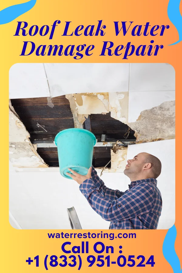 Roof Leak Water Damage Repair in Madisonville, TX
